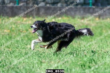 IMG_8530.jpg