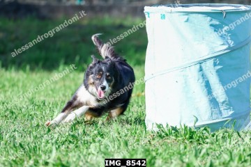 IMG_8542.jpg