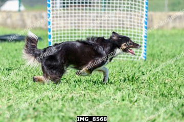 IMG_8568.jpg