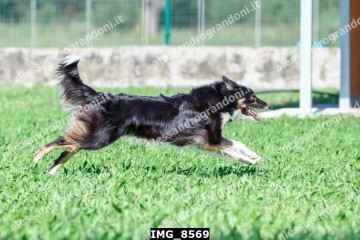 IMG_8569.jpg