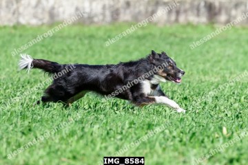 IMG_8584.jpg