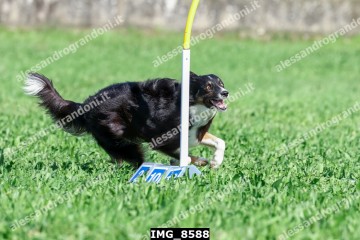 IMG_8588.jpg