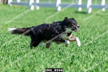 IMG_8596.jpg