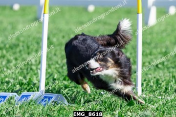 IMG_8618.jpg