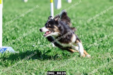 IMG_8620.jpg