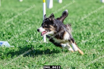 IMG_8621.jpg