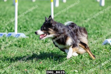 IMG_8625.jpg