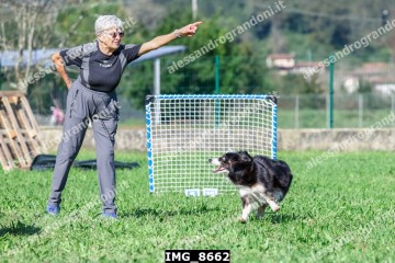 IMG_8662.jpg