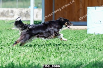 IMG_8680.jpg