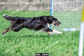 IMG_8690.jpg