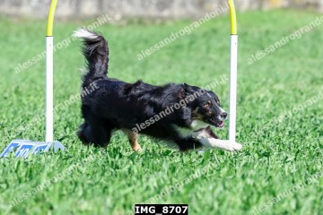 IMG_8707.jpg
