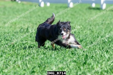 IMG_8714.jpg