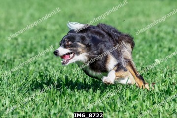IMG_8722.jpg