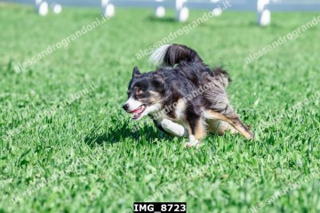 IMG_8723.jpg