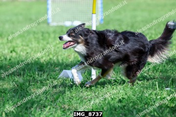 IMG_8737.jpg