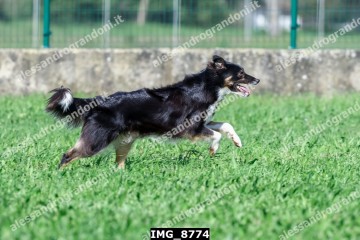 IMG_8774.jpg