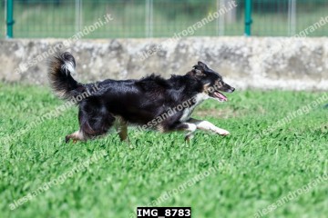 IMG_8783.jpg
