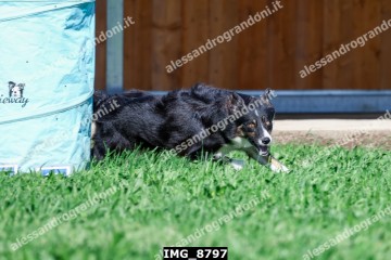 IMG_8797.jpg