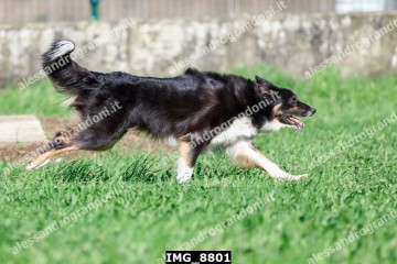 IMG_8801.jpg