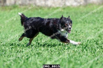 IMG_8815.jpg