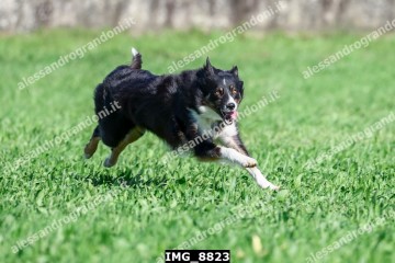 IMG_8823.jpg