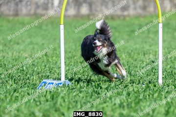 IMG_8830.jpg