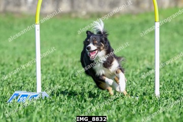 IMG_8832.jpg