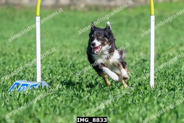 IMG_8833.jpg