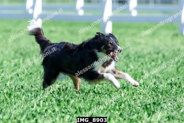 IMG_8903.jpg
