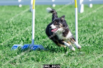 IMG_8925.jpg