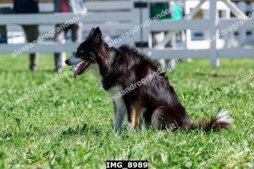 IMG_8989.jpg