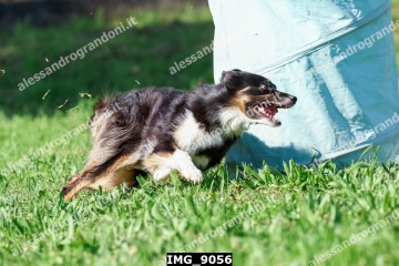 IMG_9056.jpg