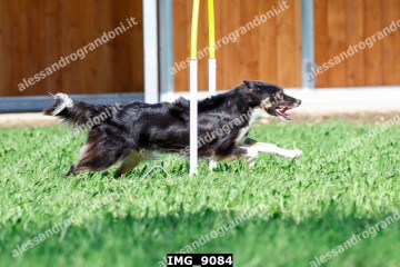 IMG_9084.jpg