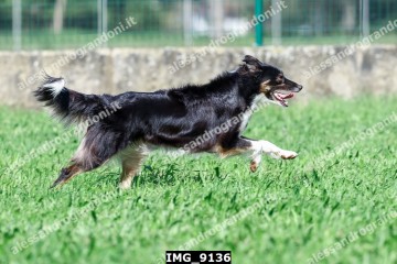 IMG_9136.jpg