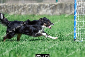 IMG_9149.jpg