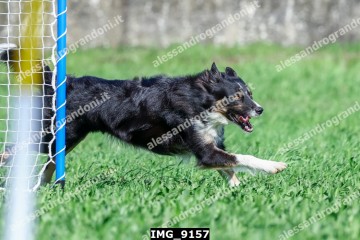 IMG_9157.jpg