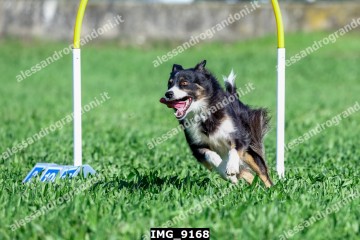 IMG_9168.jpg