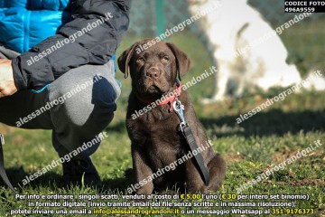 496A9559.jpg