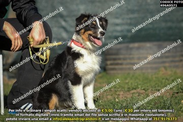 496A9571.jpg