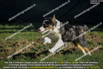 496A9596.jpg