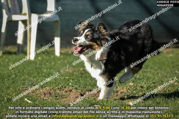 496A9598.jpg