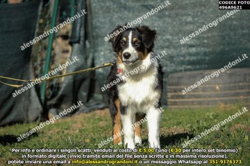 496A9621.jpg