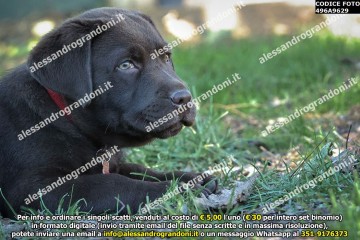 496A9629.jpg