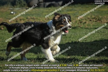 496A9630.jpg
