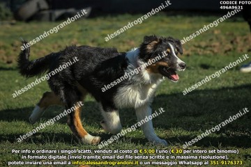 496A9631.jpg