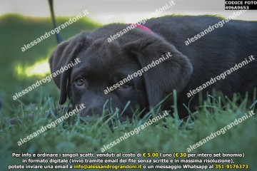 496A9653.jpg