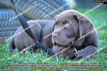 496A9687.jpg