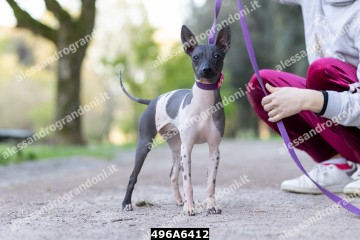 496A6412.jpg