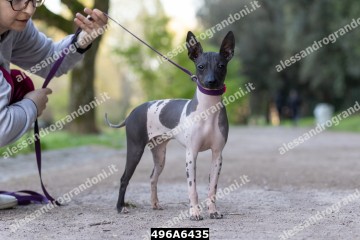 496A6435.jpg