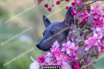 496A6571.jpg